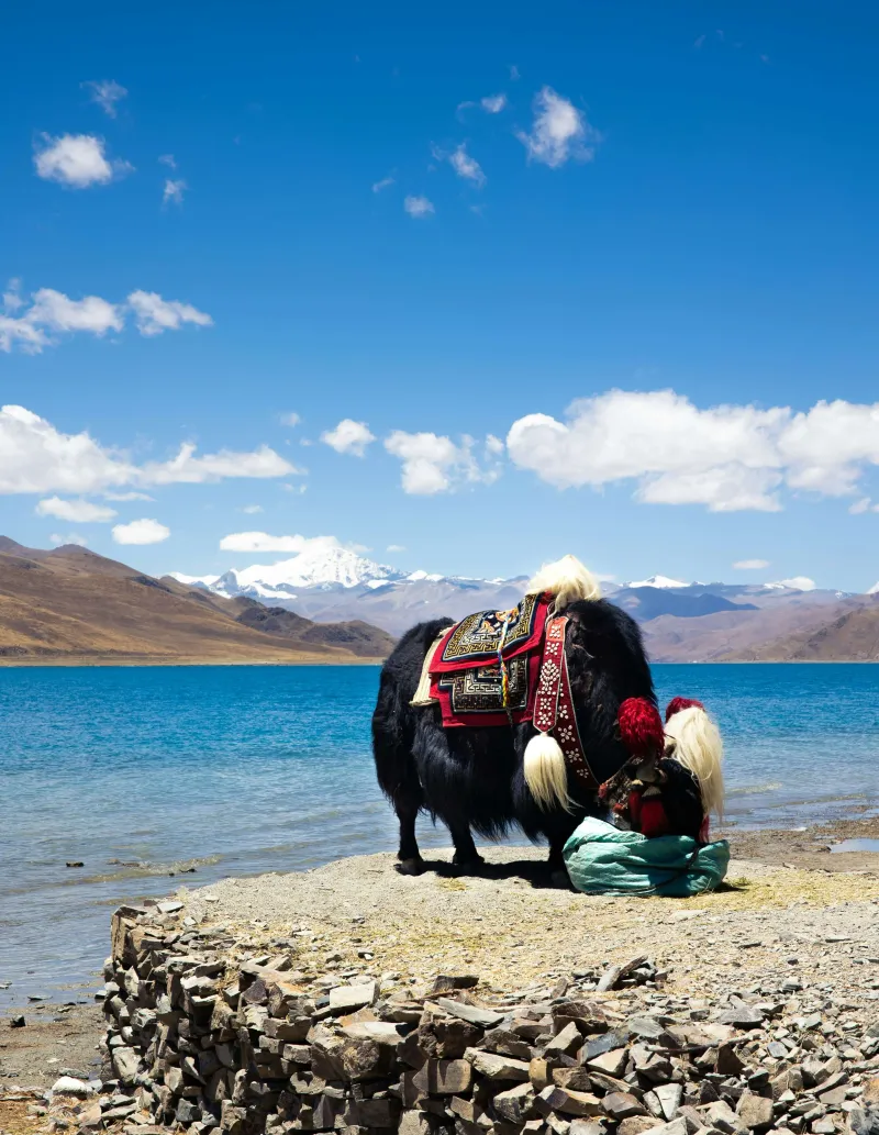 Nomadic Spirit - Highlight - Marga Adventure
